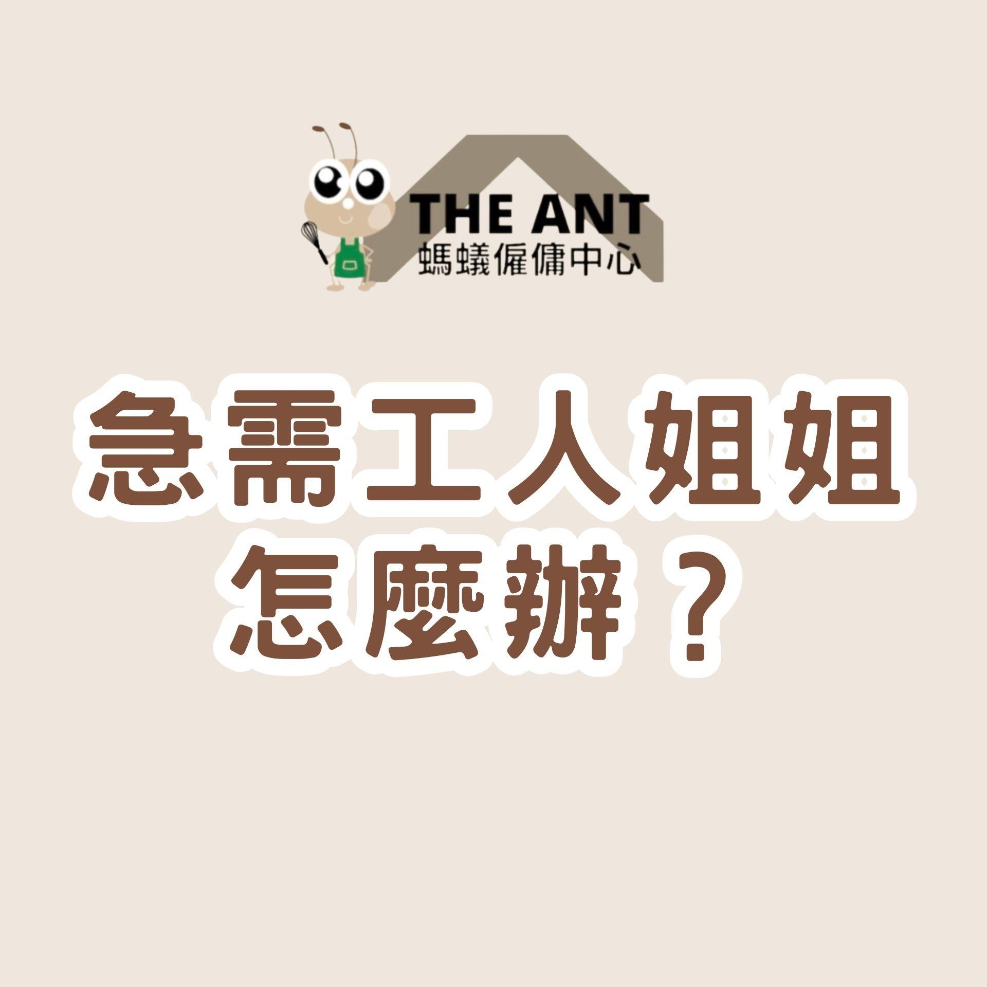 急需工人姐姐怎麼辦？